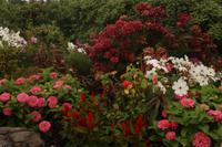 Queen Elizabeth Park - Vancouver