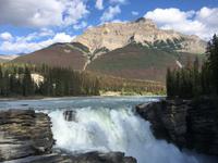 Die Athabasca Falls
