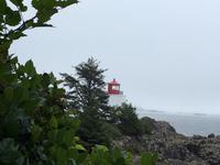 Lighthouse Park in Vancouver