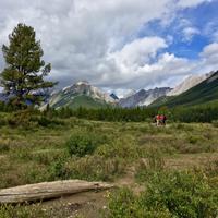 Das Hochtal in den Rockies