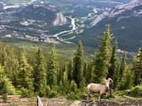 Postkarte von Banff selbstgemacht