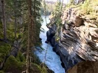 Die Athabasca Schlucht