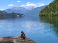 ein blinder Passagier