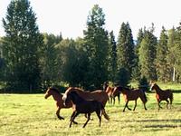 Mami hat gerufen, auf zum Abendbrot