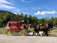 wir fahren mit dieser Postillion Kutsche