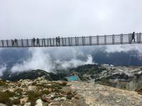Auf dem Skywalk auf Whistler Peak