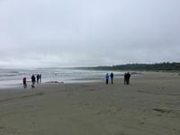 Long Beach im Pacific Rim Nat Park