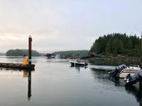 morgends vom Zimmer in Tofino aus gesehen