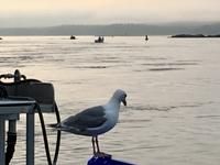 Jonathan wartet geduldig