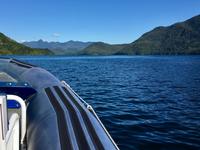 von Tofino nach Maquinna Island