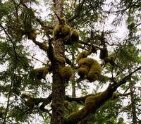 Der Fantasie sind keine Grenzen gesetzt