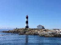 Race Rocks bei Victoria