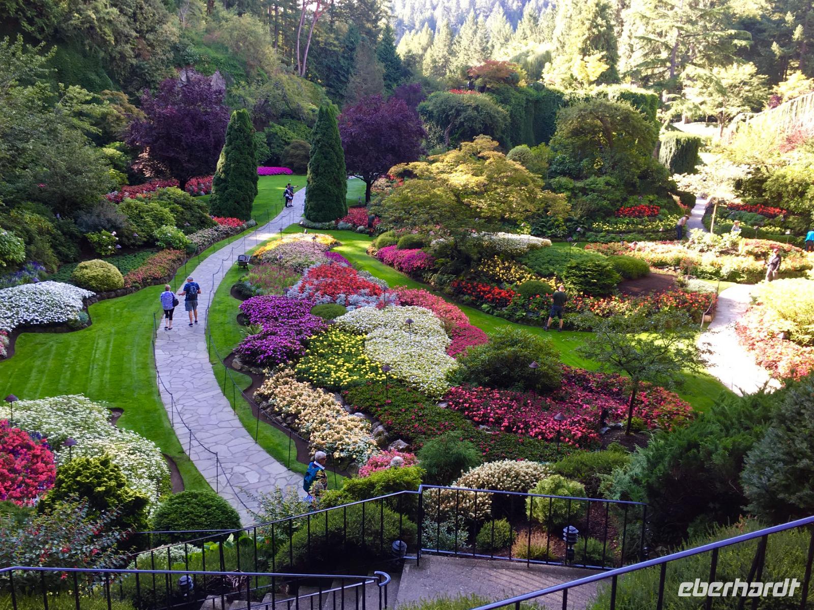 der versunkene Garten in Butchart Gardens