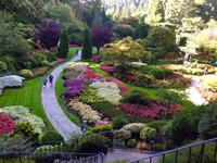 der versunkene Garten in Butchart Gardens