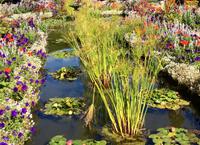 im italienischen Garten