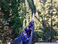 auf diese Haengebruecke gehen auch wir