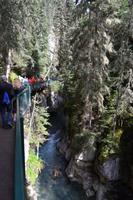 Banff-Nationalpark - Johnston Canyon