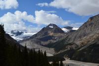 Von Banff nach Jasper - Peyto Glacier