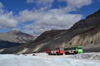 Von Banff nach Jasper - Am Athabasca Glacier