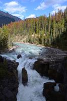 Von Banff nach Jasper - Spaziergang zu den Sunwapta Falls