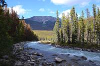 Von Banff nach Jasper - Spaziergang zu den Sunwapta Falls