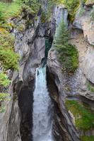 Erkundungen im Jasper-Nationalpark - Spaziergang durch den Maligne Canyon
