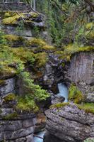 Erkundungen im Jasper-Nationalpark - Spaziergang durch den Maligne Canyon