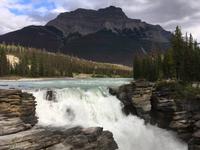 Erkundungen im Jasper-Nationalpark - Fotostopp an den Athabasca Falls