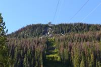 Auf dem Yellowhead Highway von Jasper nach Prince George - Fotostopp an der Jasper SkyTram