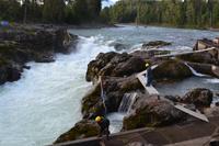 Auf dem Weg nach Alaska - Zwischenstopp am Moricetown Canyon