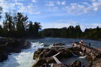 Auf dem Weg nach Alaska - Zwischenstopp am Moricetown Canyon