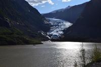 Auf dem Weg nach Alaska - Fotostopp am Bear Glacier
