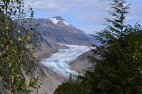 Fahrt zum Salmon Glacier