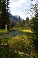 Bärenbeobachtung am Fish Creek