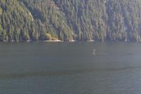 Durch die Inside Passage von Prince Rupert nach Port Hardy - Buckelwale schwimmen vorbei