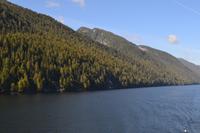 Durch die Inside Passage von Prince Rupert nach Port Hardy - Buckelwale schwimmen vorbei