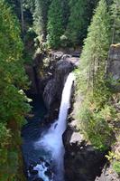 Von Port Hardy nach Victoria - Mittagspause im Elk Falls Provincial Park