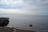 Kleine Stadtrundfahrt durch Victoria - Blick auf die Olympic Mountains im US-Bundesstaat Washington