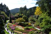 Besuch der Butchart Gardens