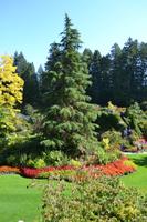 Besuch der Butchart Gardens