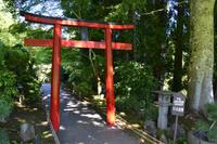 Besuch der Butchart Gardens