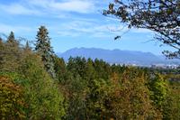 Stadtrundfahrt Vancouver - Queen Elizabeth Park
