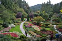 Butchart Garden2