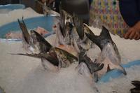 Grandville Island (1)