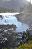 Athabasca Falls (3)