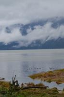 Bärenbeobachtung (4)