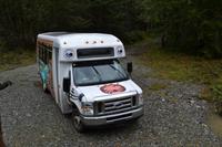 Bärenbeobachtung (16)