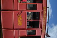 Hat Creek Ranch (33)