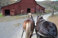 Hat Creek Ranch (35)