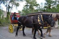 Hat Creek Ranch (36)